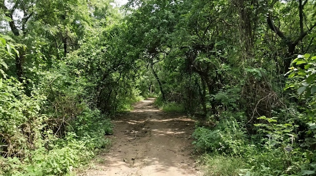 Is Bonta Park Safe for Couples?