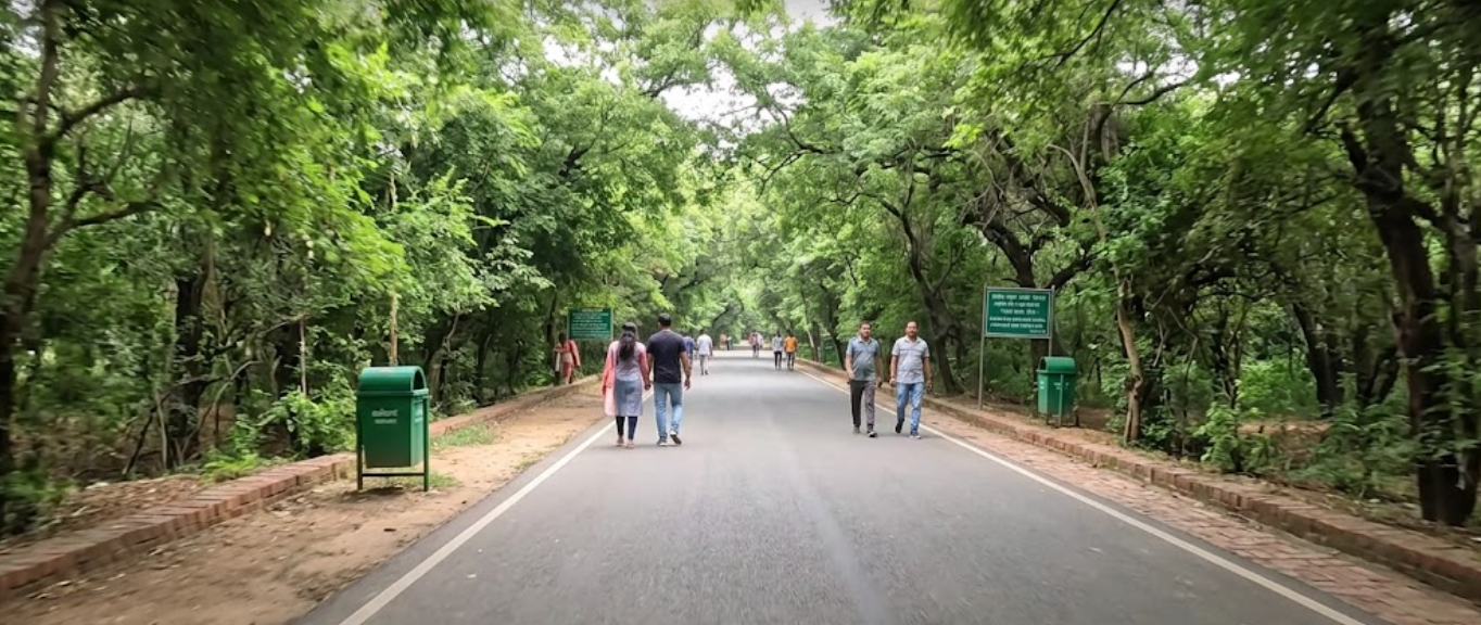 Take a slow nature walk in evening in bonta park delhi